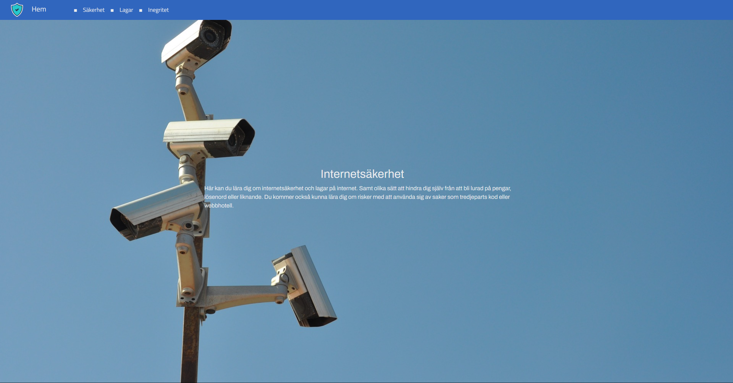 website preview